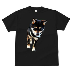 Č TVc fB[X t@  t  vg JWA 킢 lԗp h ̃fUC ʔ TOX Č N[