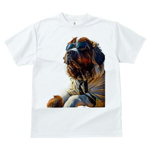 Zgo[i[h TVc fB[X t@  t  vg JWA 킢 lԗp h ̃fUC ʔ TOX Zgo[i[h WPbg