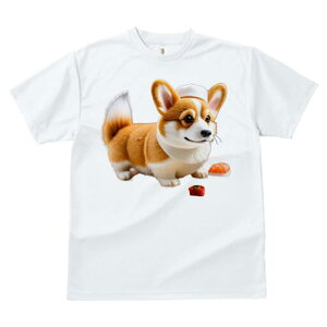 R[M[ TVc fB[X t@  t  vg JWA 킢 lԗp h ̃fUC ʔ i R[M[ RbNX