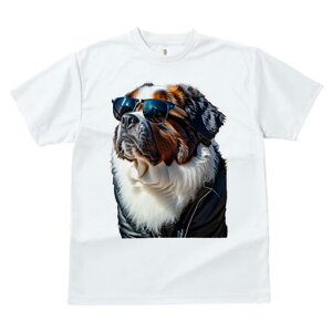 Zgo[i[h TVc fB[X t@  t  vg JWA 킢 lԗp h ̃fUC ʔ TOX Zgo[i[h WPbg