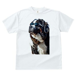 Zgo[i[h TVc fB[X t@  t  vg JWA 킢 lԗp h ̃fUC ʔ TOX Zgo[i[h