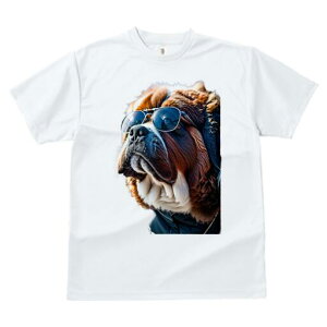 Zgo[i[h TVc fB[X t@  t  vg JWA 킢 lԗp h ̃fUC ʔ TOX Zgo[i[h N[