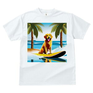 S[fgo[ TVc fB[X t@  t  vg JWA 킢 lԗp h ̃fUC ʔ V̖ S[fgo[ C T[t{[h 