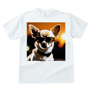 ` TVc fB[X t@  t  vg JWA 킢 lԗp h ̃fUC ʔ TOX ` 