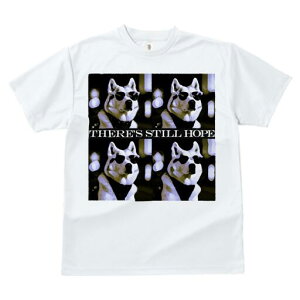 Hc TVc fB[X t@  t  vg JWA 킢 lԗp h ̃fUC ʔ TOX Hc