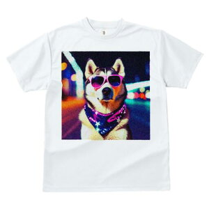 VxAnXL[ TVc fB[X t@  t  vg JWA 킢 lԗp h ̃fUC ʔ TOX VxAnXL[ o_i lI 