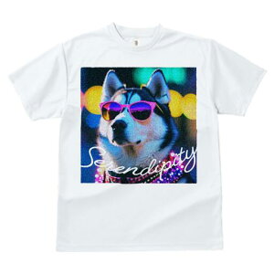 VxAnXL[ TVc fB[X t@  t  vg JWA 킢 lԗp h ̃fUC ʔ TOX VxAnXL[ p[eB[