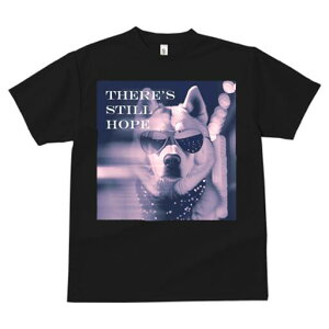 VxAnXL[ TVc fB[X t@  t  vg JWA 킢 lԗp h ̃fUC ʔ TOX VxAnXL[ o_i