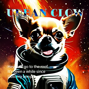 F ` Xy[X F  NbVJo[ 45×45cm Aj}   NbV{̕t ` t@