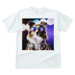 VFbghV[vhbO TVc fB[X t@  t  vg JWA 킢 lԗp h ̃fUC ʔ TOX VFbghV[vhbO 