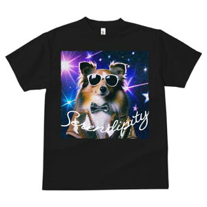 VFbghV[vhbO TVc fB[X t@  t  vg JWA 킢 lԗp h ̃fUC ʔ TOX VFbghV[vhbO 