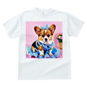 R[M[ TVc Y LbY t@  t  vg JWA 킢 lԗp h ̃fUC ʔ  R[M[ ԑ `FbN {