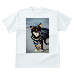 Č TVc fB[X t@  t  vg JWA 킢 lԗp h ̃fUC ʔ TOX Č n[lX