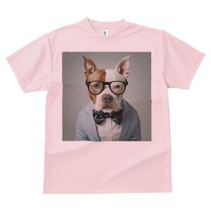 AJsbgueA TVc Y LbY t@  t  vg JWA 킢 lԗp h ̃fUC ʔ Kl AJsbgueA 