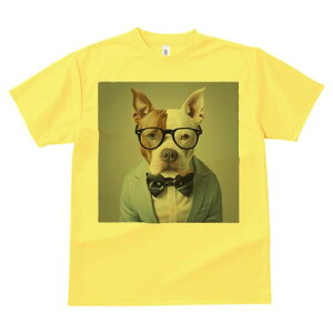 AJsbgueA TVc Y LbY t@  t  vg JWA 킢 lԗp h ̃fUC ʔ Kl AJsbgueA 