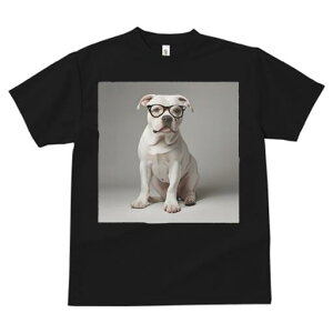 AJuhbO TVc fB[X t@  t  vg JWA 킢 lԗp h ̃fUC ʔ Kl AJuhbO