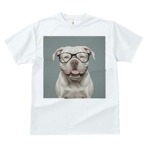 AJuhbO TVc fB[X t@  t  vg JWA 킢 lԗp h ̃fUC ʔ Kl AJuhbO