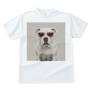 AJuhbO TVc fB[X t@  t  vg JWA 킢 lԗp h ̃fUC ʔ TOX AJuhbO