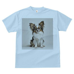 ps TVc Y LbY t@  t  vg JWA 킢 lԗp h ̃fUC ʔ Kl ps