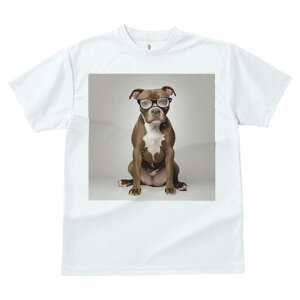 AJsbgueA TVc fB[X t@  t  vg JWA 킢 lԗp h ̃fUC ʔ Kl AJsbgueA