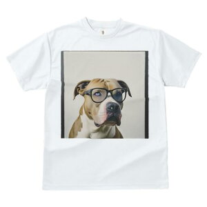 AJsbgueA TVc fB[X t@  t  vg JWA 킢 lԗp h ̃fUC ʔ Kl AJsbgueA