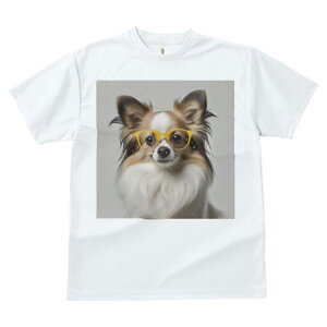 ps TVc fB[X t@  t  vg JWA 킢 lԗp h ̃fUC ʔ Kl ps