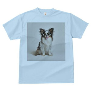 ` TVc Y LbY t@  t  vg JWA 킢 lԗp h ̃fUC ʔ Kl `