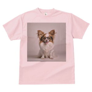 ` TVc Y LbY t@  t  vg JWA 킢 lԗp h ̃fUC ʔ Kl `