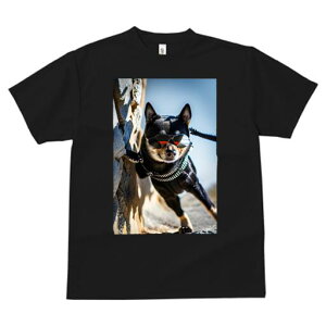 Č TVc fB[X t@  t  vg JWA 킢 lԗp h ̃fUC ʔ TOX Č [h