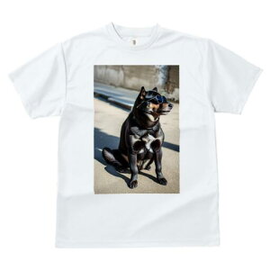 Č TVc fB[X t@  t  vg JWA 킢 lԗp h ̃fUC ʔ TOX Č