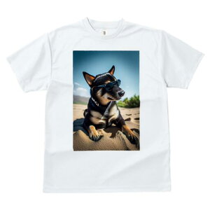 Č TVc fB[X t@  t  vg JWA 킢 lԗp h ̃fUC ʔ TOX Č l  C