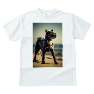 Č TVc fB[X t@  t  vg JWA 킢 lԗp h ̃fUC ʔ TOX Č r[`