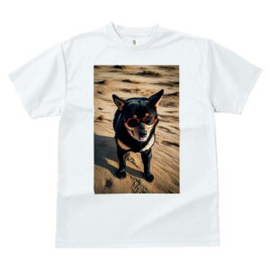 Č TVc fB[X t@  t  vg JWA 킢 lԗp h ̃fUC ʔ TOX Č l