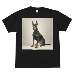 h[x} TVc Y LbY t@  t  vg JWA 킢 lԗp h ̃fUC ʔ Kl h[x}