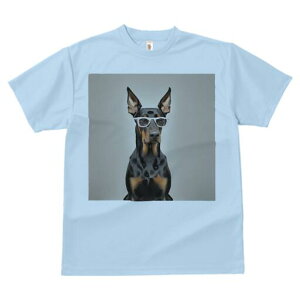 h[x} TVc Y LbY t@  t  vg JWA 킢 lԗp h ̃fUC ʔ Kl h[x}