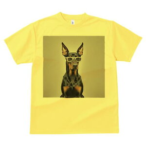 h[x} TVc Y LbY t@  t  vg JWA 킢 lԗp h ̃fUC ʔ Kl h[x}