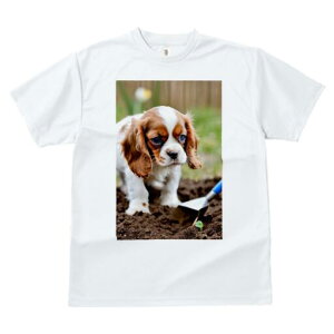 LoA TVc Y LbY t@  t  vg JWA 킢 lԗp h ̃fUC ʔ  LoA y Vx c