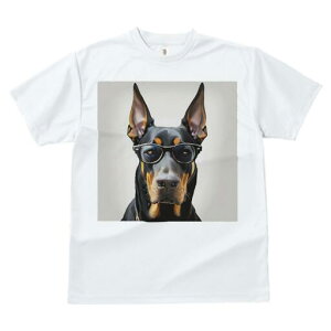 h[x} TVc fB[X t@  t  vg JWA 킢 lԗp h ̃fUC ʔ Kl h[x}