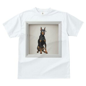 h[x} TVc Y LbY t@  t  vg JWA 킢 lԗp h ̃fUC ʔ Kl h[x}