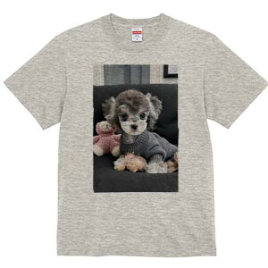 }`[Y,[NV[eA TVc Y LbY t@  t  vg JWA 킢 lԗp h ̃fUC ʔ ʂ }`[Y,[NV[