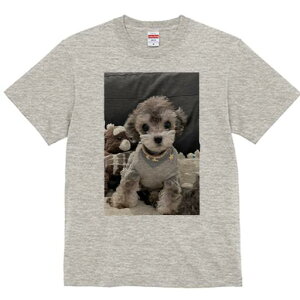 トイプードル Tシャツ メンズ キッズ 犬ファン 半袖 春夏 犬柄 プリント カジュアル かわいい 人間用 個性派 ここだけのデザイン 面白 ぬいぐるみ トイプードル セーター