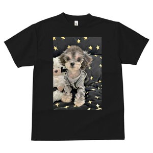 トイプードル Tシャツ レディース 犬ファン 半袖 春夏 犬柄 プリント カジュアル かわいい 人間用 個性派 ここだけのデザイン 面白 星柄 トイプードル 服 ぬいぐるみ