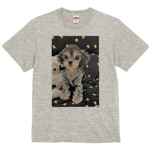 gCv[h TVc Y LbY t@  t  vg JWA 킢 lԗp h ̃fUC ʔ  gCv[h  ʂ