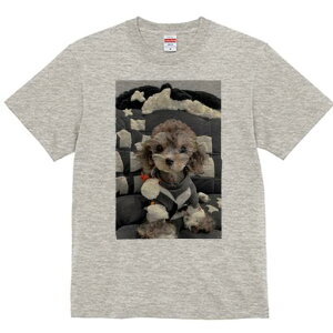 gCv[h TVc Y LbY t@  t  vg JWA 킢 lԗp h ̃fUC ʔ ʂ gCv[h 