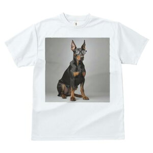 h[x} TVc fB[X t@  t  vg JWA 킢 lԗp h ̃fUC ʔ Kl h[x}