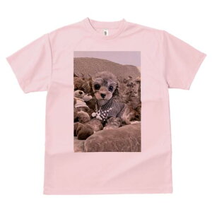 gCv[h TVc Y LbY t@  t  vg JWA 킢 lԗp h ̃fUC ʔ ʂ gCv[h Z[^[ NbV