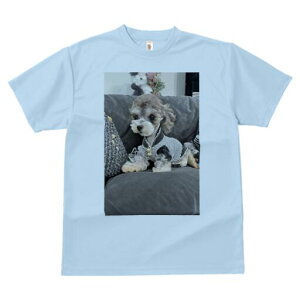 [NV[eA TVc Y LbY t@  t  vg JWA 킢 lԗp h ̃fUC ʔ ʂ [NV[eA Z[^[