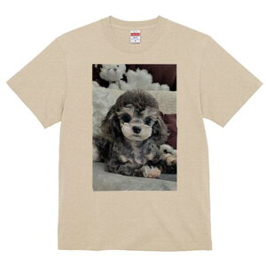 gCv[h TVc Y LbY t@  t  vg JWA 킢 lԗp h ̃fUC ʔ ʂ gCv[h NbV