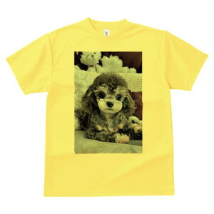 gCv[h TVc Y LbY t@  t  vg JWA 킢 lԗp h ̃fUC ʔ ʂ gCv[h NbV