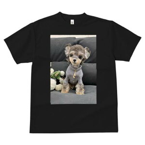 [NV[eA TVc fB[X t@  t  vg JWA 킢 lԗp h ̃fUC ʔ ʂ [NV[eA 